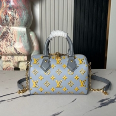 Louis Vuitton Speedy Bags